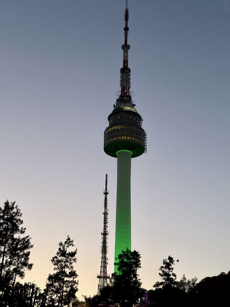 N Seoul Tower view - South Korea tourist visa cover letter templates